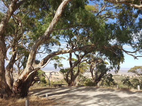 Spring Gully Conservation Park - Accommodation Bookings 0