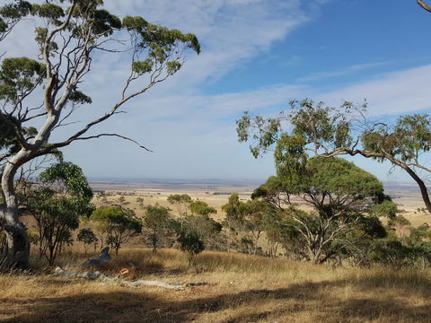 Spring Gully Conservation Park - Accommodation Bookings 1