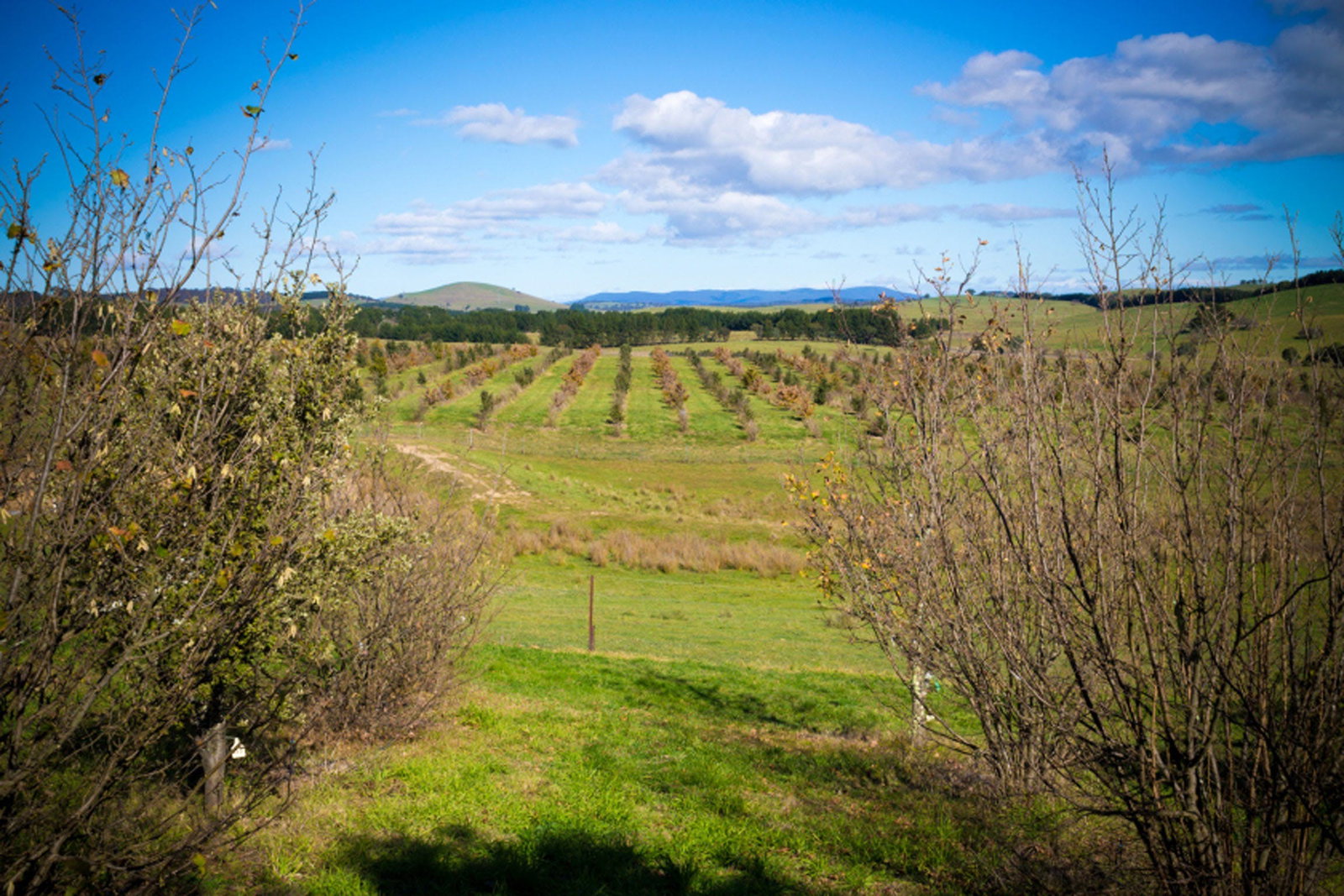 Tarago NSW Accommodation Bookings