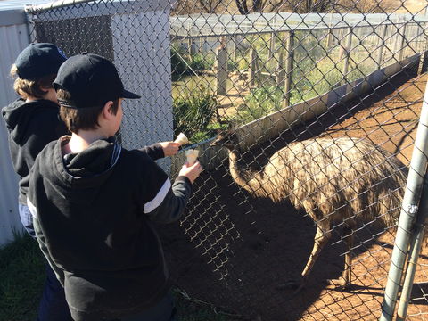 Taralga Wildlife Park - Accommodation Bookings 2
