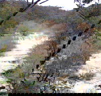 The Falls Water Falls - Accommodation Bookings
