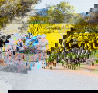 The Heron's Highway - Avon River Cycle Trail - Accommodation Bookings