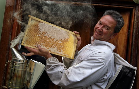 The House Of Honey - Accommodation Bookings 0