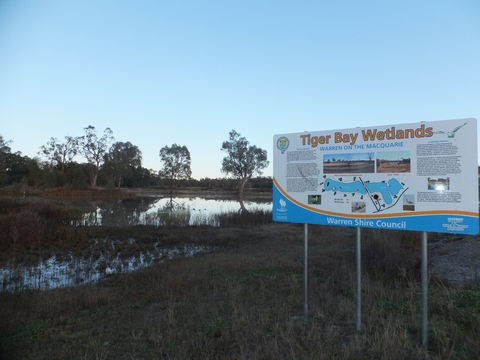 Tiger Bay Wetlands - Accommodation Bookings 0