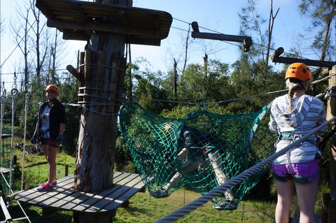 Trees Adventure - Lane Poole Park - Accommodation Bookings 0