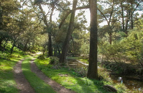 Turon National Park - Accommodation Bookings 0