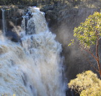 Walcha