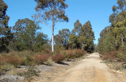 Werakata National Park - Accommodation Bookings 0