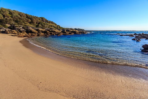 Wilsons Beach - Accommodation Bookings 0