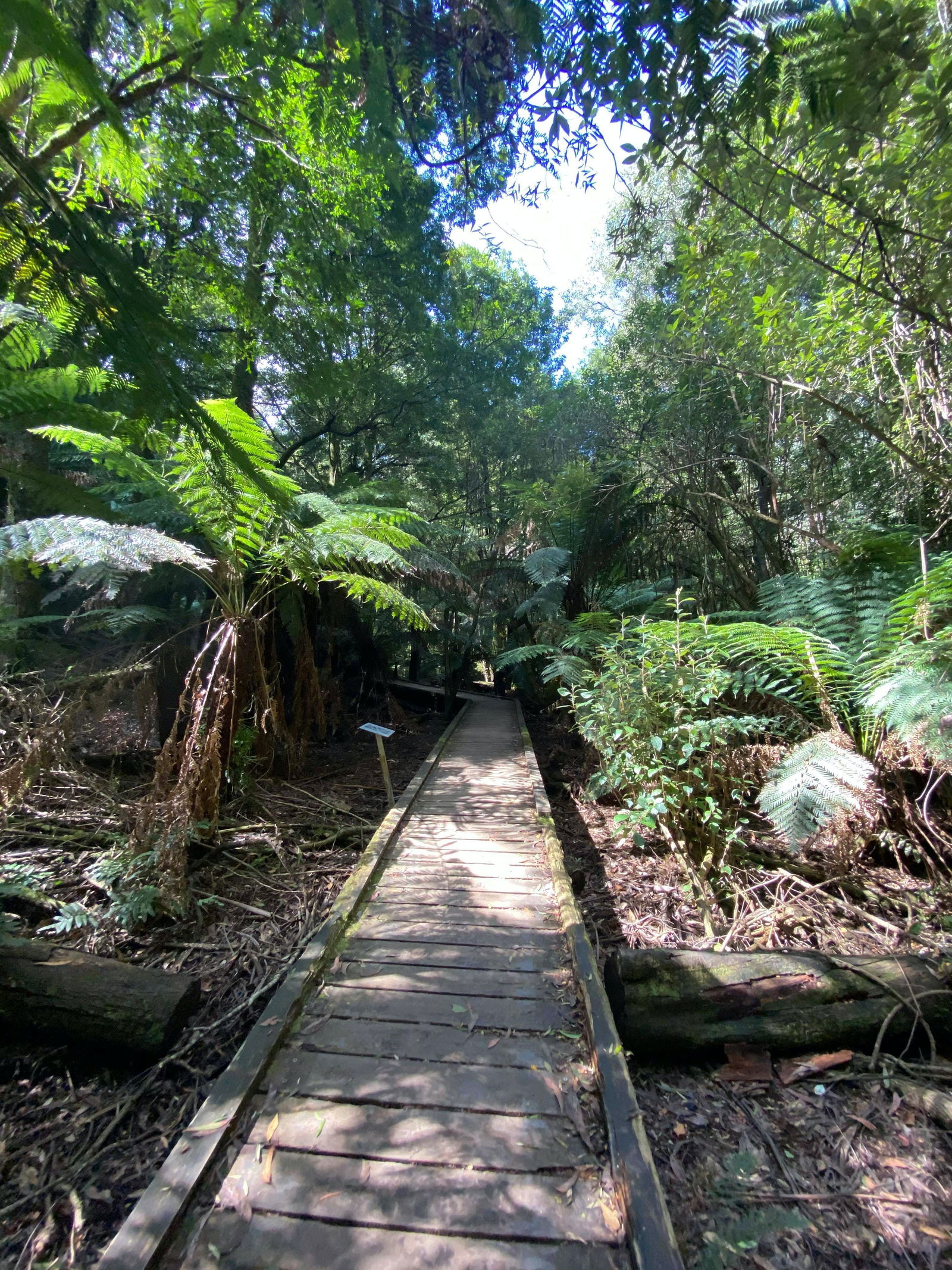 Toolangi VIC Accommodation Bookings
