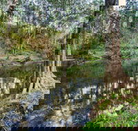 Woko National Park - Accommodation Bookings