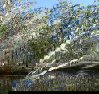 Wongi State Forest - Accommodation Bookings