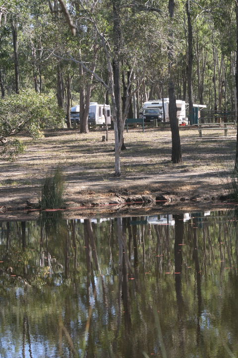 Wongi State Forest - Accommodation Bookings 1