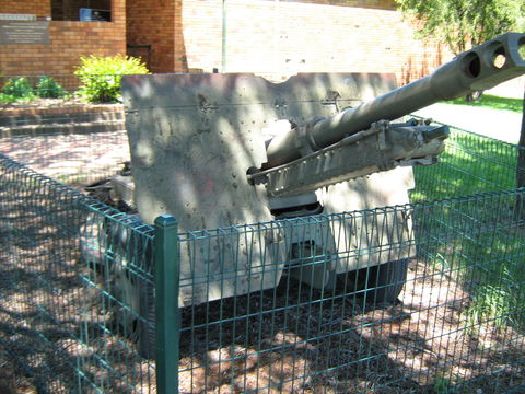 Woodpecker Gun - Accommodation Bookings 1