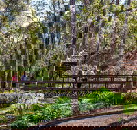 Armadale - Accommodation Bookings