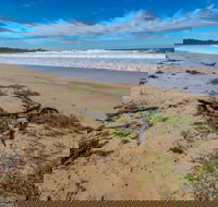Avenue Beach - Accommodation Bookings