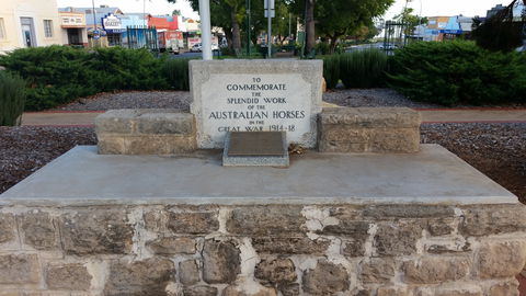 Barmera Horse Trough - Accommodation Bookings 0