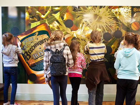 Beechworth Honey Shop - Accommodation Bookings 2