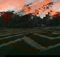Bellingham Maze