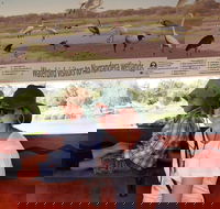Bird Watching in Narrandera - Accommodation Bookings