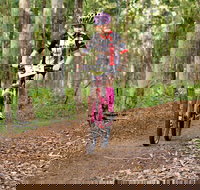 Bom Bom State Forest Mountain Bike Trails - Accommodation Bookings