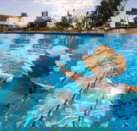 Boulia Sports and Aquatic Centre - Accommodation Bookings