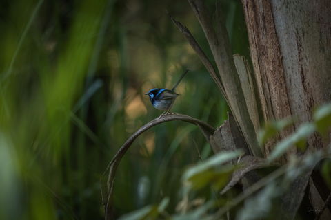 Bundian Way Story Trail - Accommodation Bookings 1
