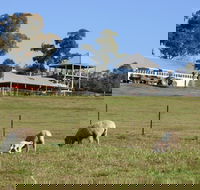 Calmsley Hill City Farm - Accommodation Bookings
