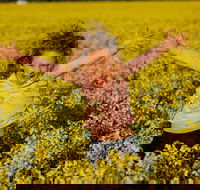 Canola Trail - Accommodation Bookings