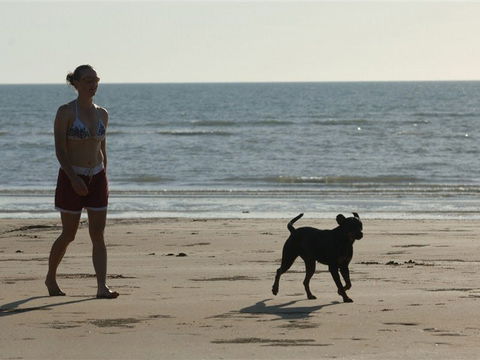 Casuarina Coastal Reserve - Accommodation Bookings 2