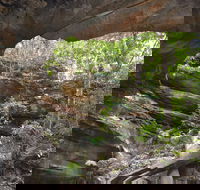 Cave Creek Walking Track - Accommodation Bookings