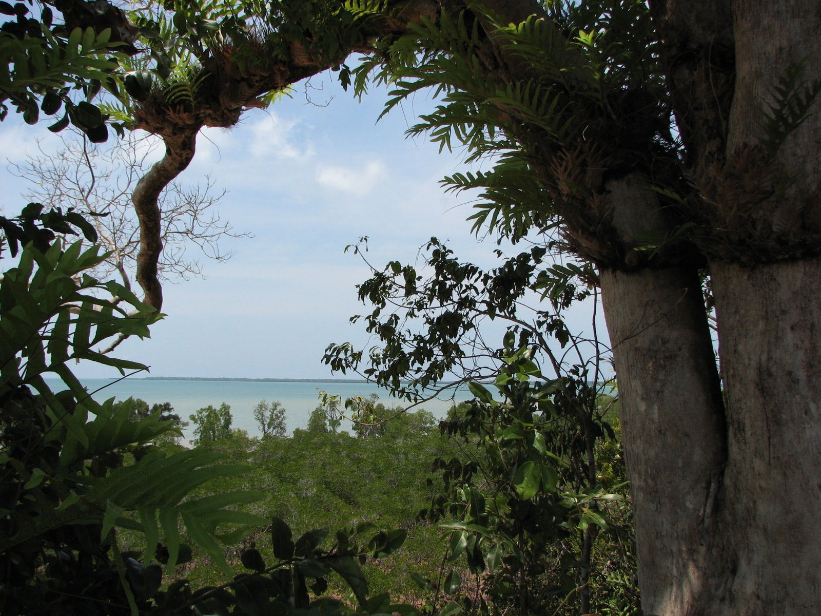 Rakula NT Accommodation Bookings