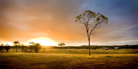 Cooyar - Accommodation Bookings 0