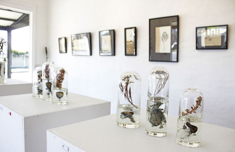 Corner Store Gallery - Accommodation Bookings 2
