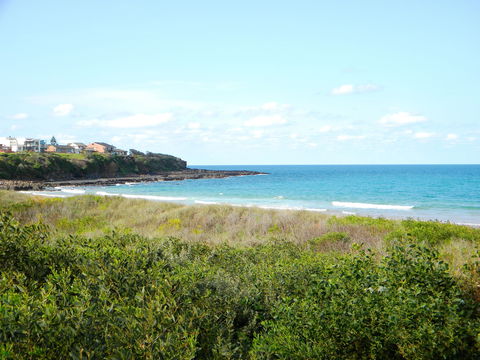 Culburra Surf Beach - Accommodation Bookings 2