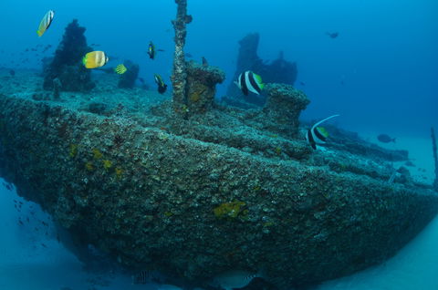 Curtin Artificial Reef Dive Site - Accommodation Bookings 1