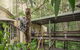 Daisy Hill Koala Centre - thumb 0
