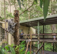 Daisy Hill Koala Centre - Accommodation Bookings