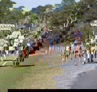Dayboro - Accommodation Bookings