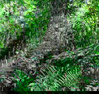 Djiru National Park - Accommodation Bookings