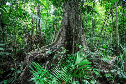 Djiru National Park - Accommodation Bookings 0