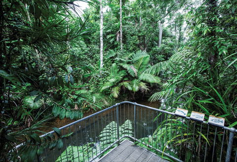 Djiru National Park - Accommodation Bookings 1