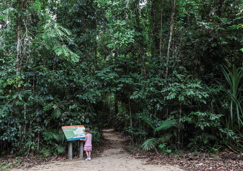 Djiru National Park - Accommodation Bookings 2