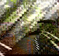 Dorrigo National Park - Accommodation Bookings
