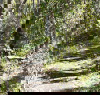 Euglah Rock Walking Track - Accommodation Bookings