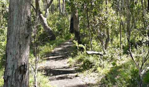 Euglah Rock Walking Track - Accommodation Bookings 0