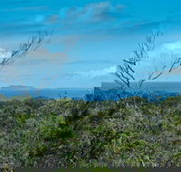 Forest Walking Track Crowdy Bay National Park - Accommodation Bookings