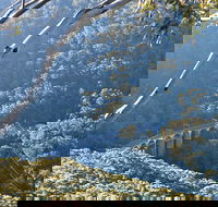 Forest Walk to Sublime Point Track - Accommodation Bookings