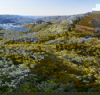 Gold Coast Hinterland Great Walk - Accommodation Bookings