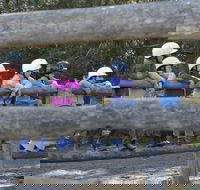 Harlow Park Horse Riding - Accommodation Bookings